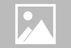 包含足总杯赛程吃紧，尼斯赛后扳平良机，态度坚定，训练强度明显提升的词条